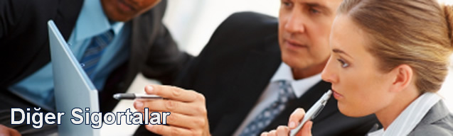Diğer Sigortalar Sigortası